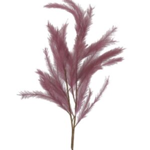 Flower-Reed-Grape